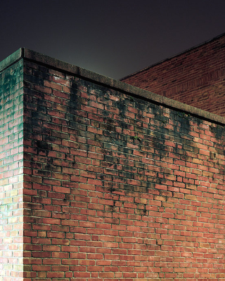 Illustration for article titled These Photos of an Empty City at Night Will Haunt Me Forever